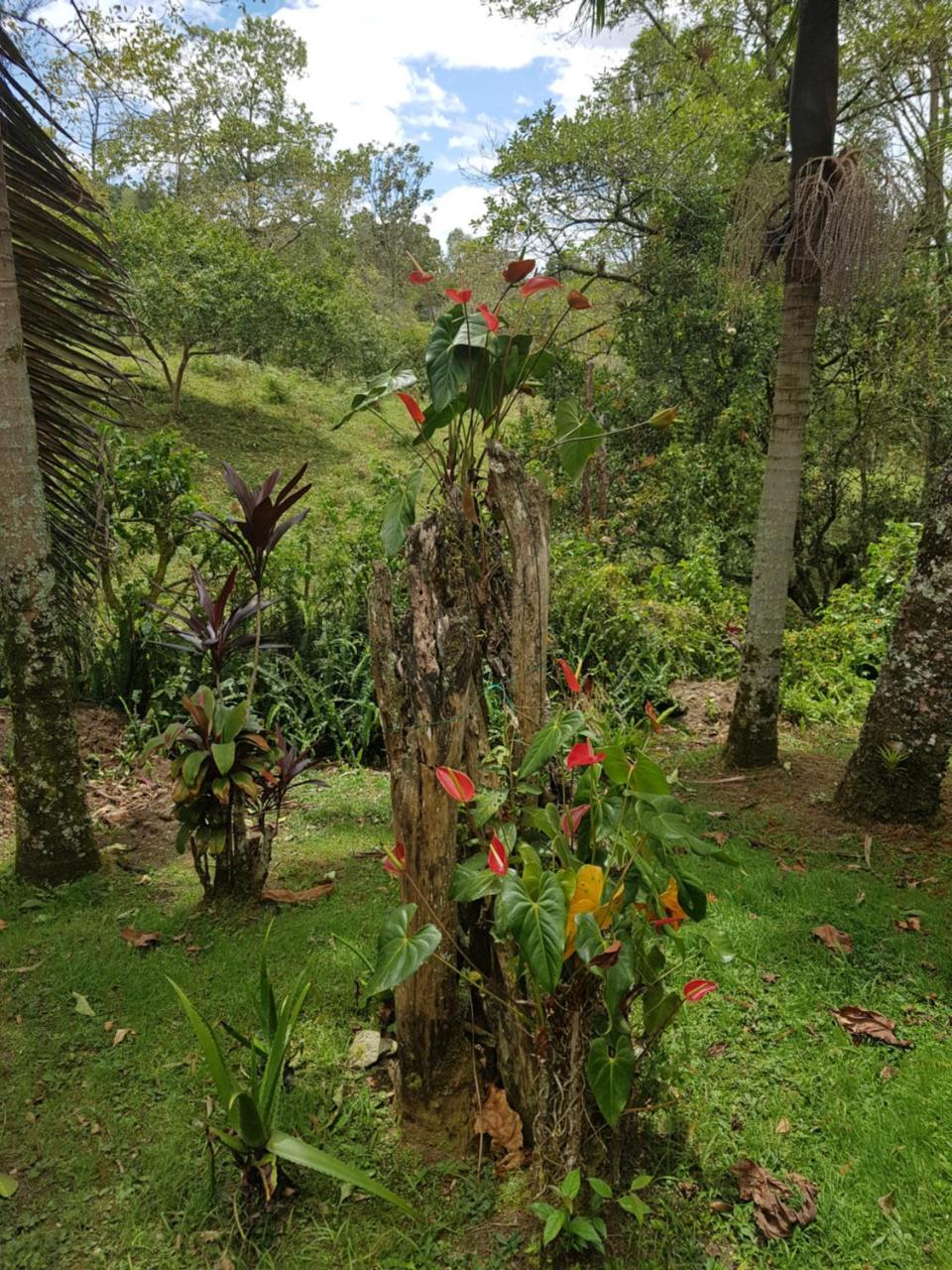 Finca La Esperanza Loma Linda Villa San Francisco  Exterior photo